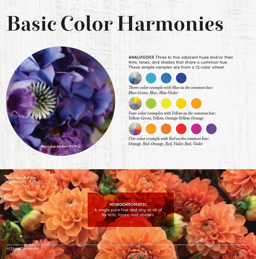 Florists' Color Wheel: A Guide to Floral Design Color Theory - FlowerBox