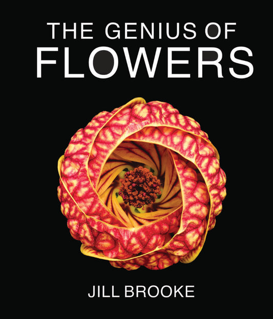 The Genius of Flowers - What Life’s Most Beautiful Creations Can Teach Us
