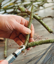 Load image into Gallery viewer, Floral Wire Workshop: Florists&#39; Techniques for Every Season (PRE-ORDER - Ships October 2023) - FlowerBox
