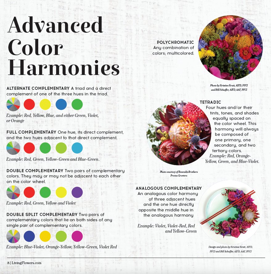 Flowercolor Guild Florists' Color Wheel: A Guide to Floral Design Color Theory – FlowerBox