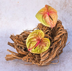 Simply Flower Arranging - A Step-by-Step Guide - FlowerBox
