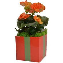 Load image into Gallery viewer, Tangerine Tango 4&quot; FlowerBox Vase (Carton of 120) - FlowerBox
